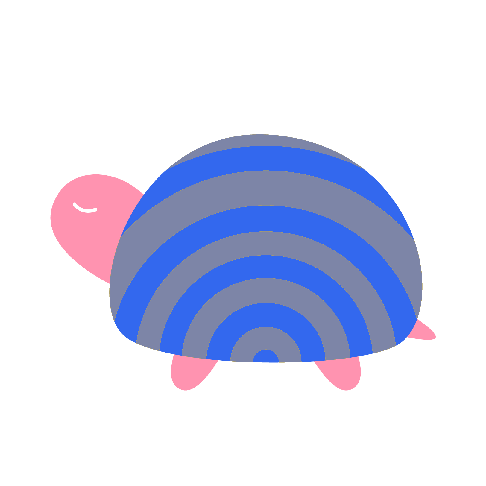 落ち着いたカメ